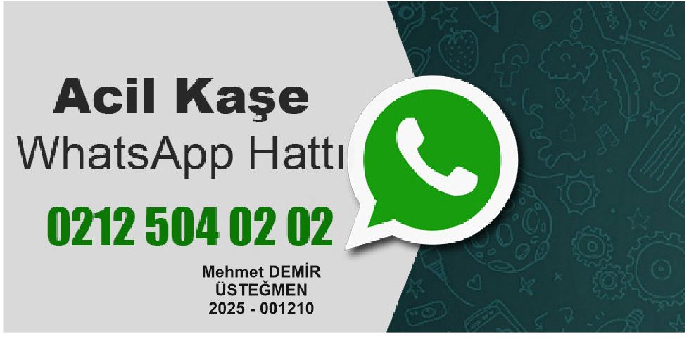 Kişiye özel üsteğmen kaşesi modeli , Üsteğmen rütbesi için resmi belge kaşesi